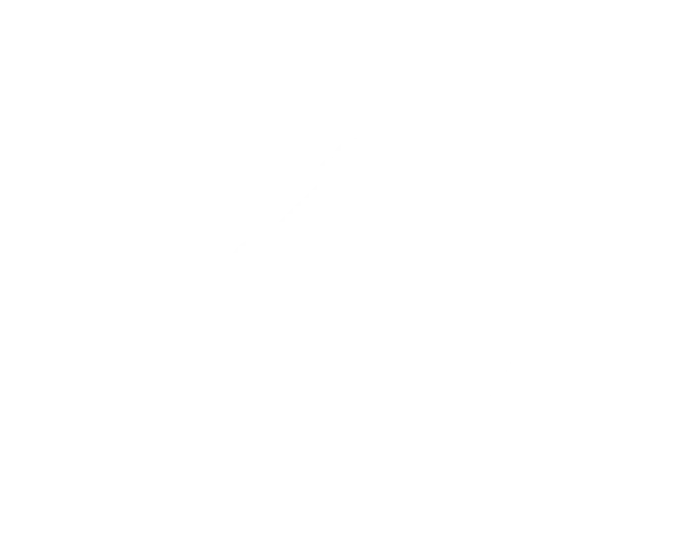 <p style="color: white;font-weight:bold">Appeal the decision, if necessary</p>