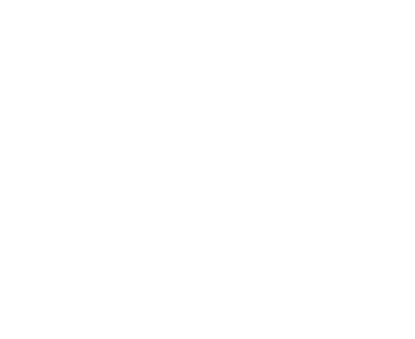 <p style="color: white;font-weight:bold">Provide requested verifications</p>