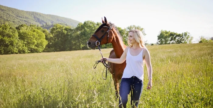 Virginia health insurance