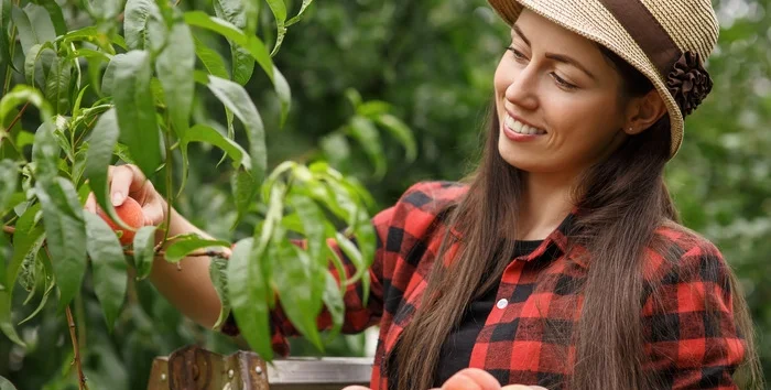 Georgia health insurance